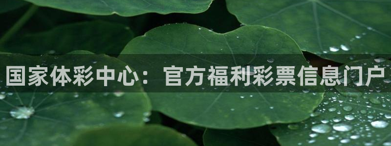 必一体育app下载最新版本