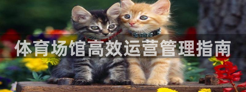 必一体育网页：体育场