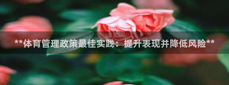 必一体育官方app下