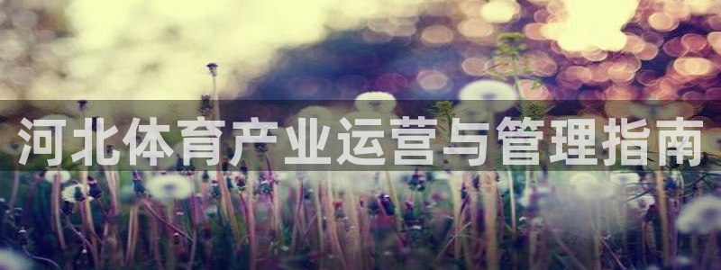必一体育运动app下载