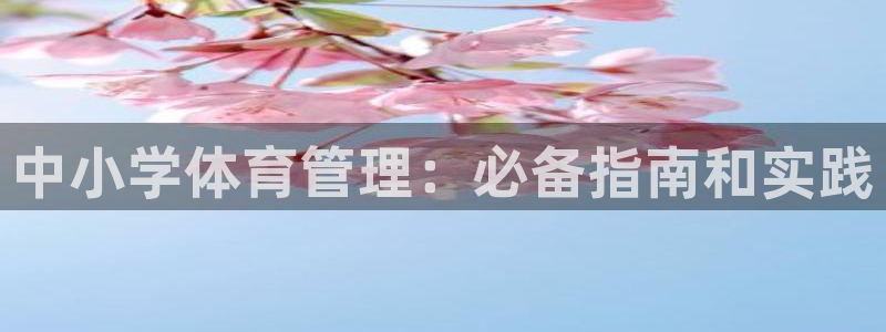 必一体育sport装机吧