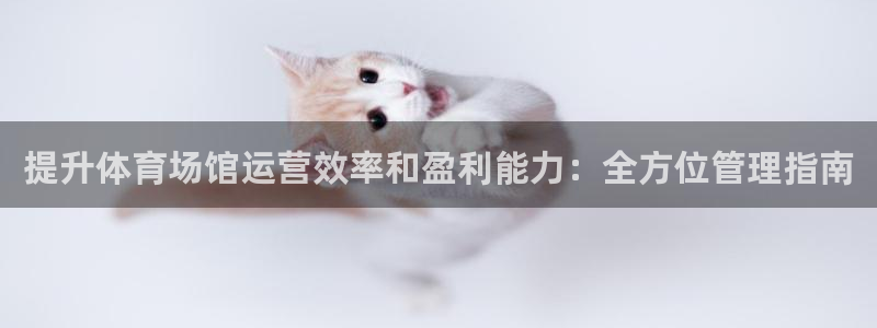 必一运动体：提升体育