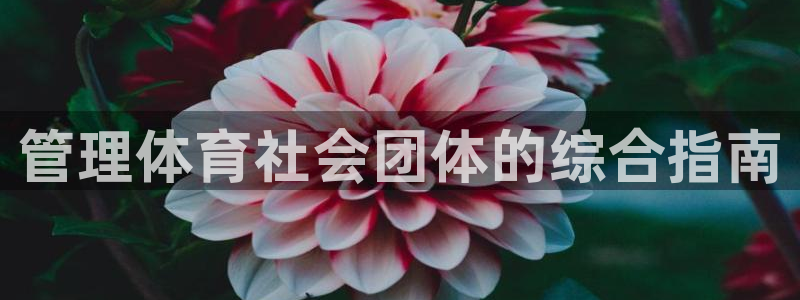 必一体育官方下载：管