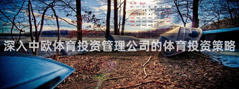 必一体育是啥：深入中