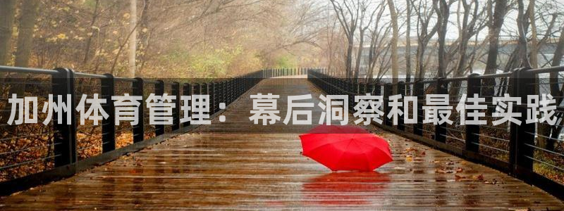 必一体育官方入口