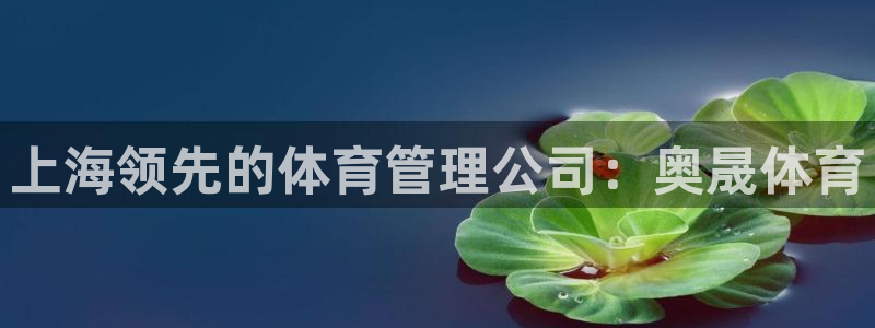 必一体育sport网