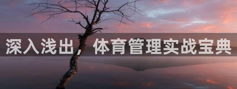 必一体育服下载最新版