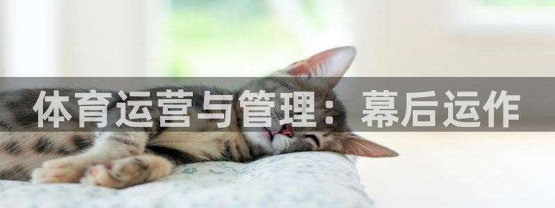 必一体育app官方