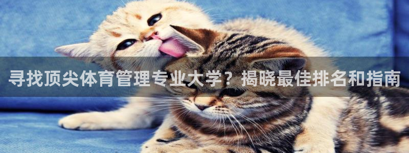必一体育验证码：寻找