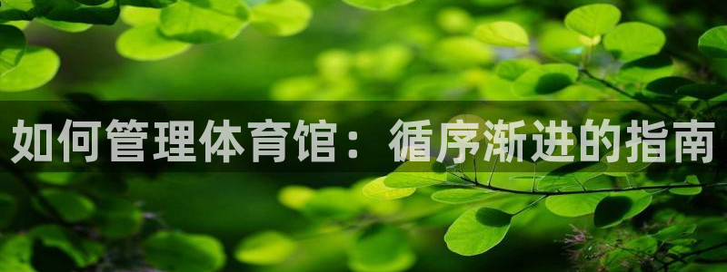必一体育全站在线登录入口