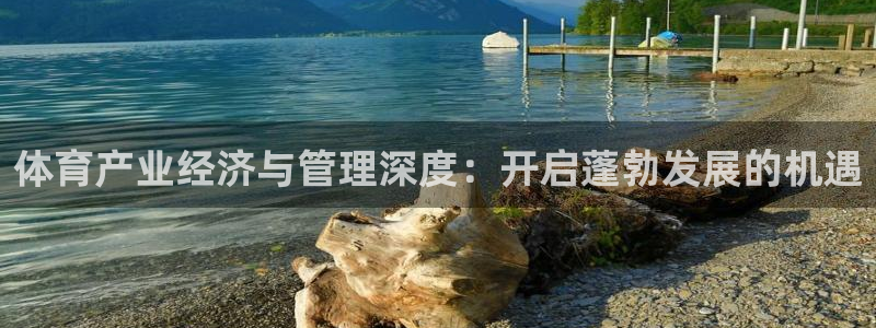 必一体育登录APP下