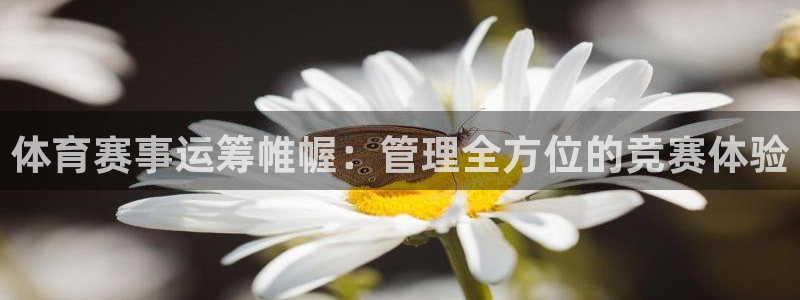 必一运动tieba.baidu.com