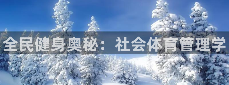 必一体育网页登陆：全