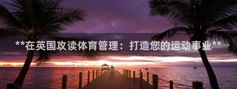 必一体育下载意思
