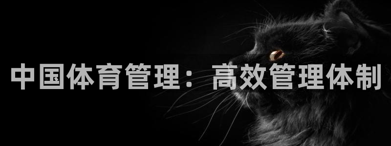 Bsport体育必一