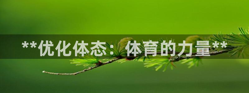 必一体育运动下载：*