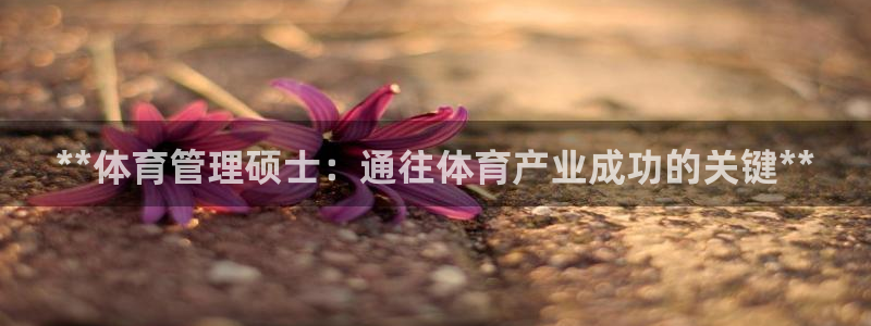 必一运动听的歌：**