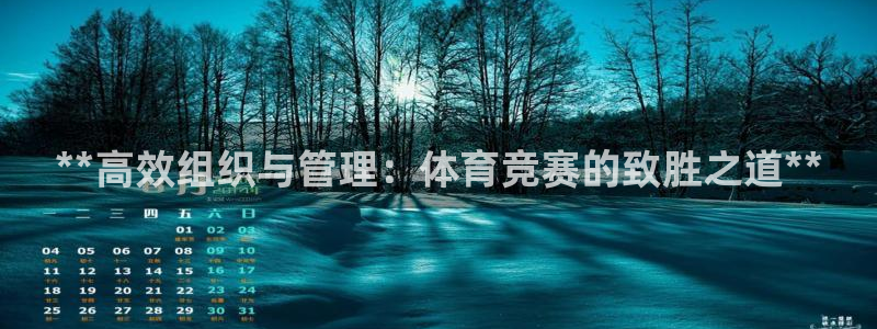 必一体育在哪下