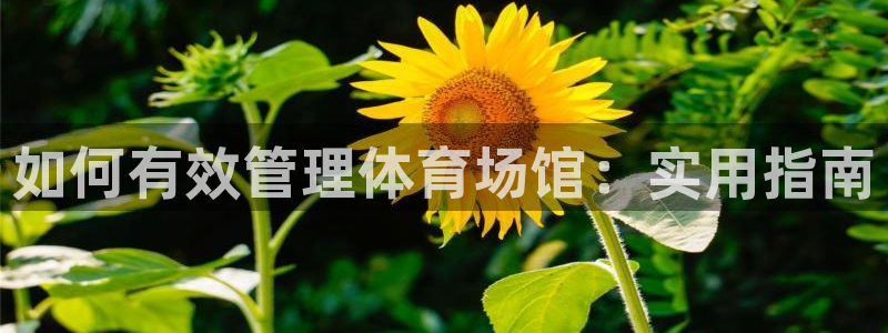 必一体育app下载安装