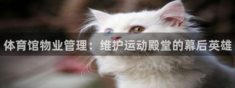 必一体育sportB体育