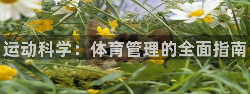 必一运动 b 体育素描版