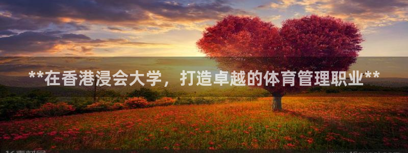 必一运动sport爱