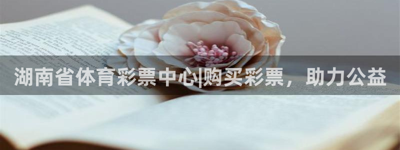 必一体育在线玩：湖南