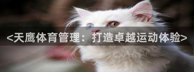 必一运动bsport