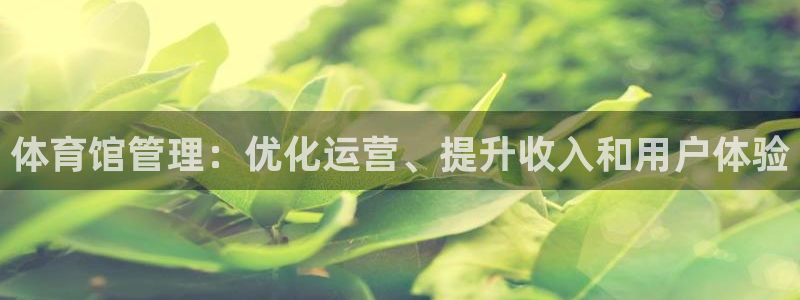 必一体育流水线是什么