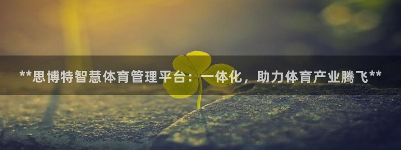 必一体育没了：**思