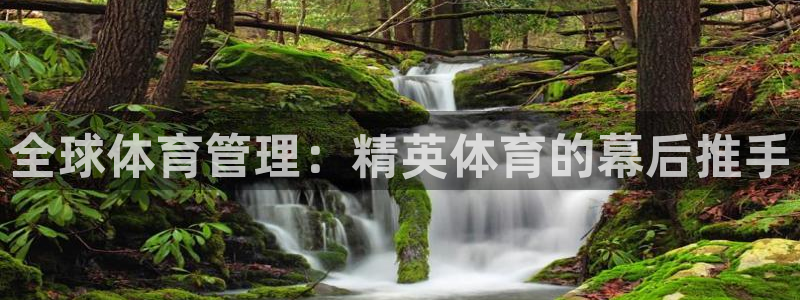 必一运动sport网页版