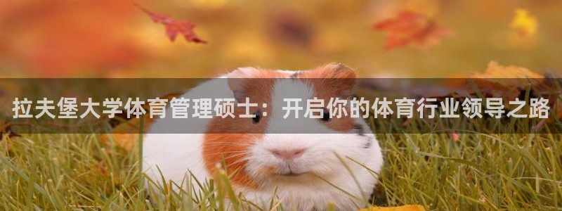 必一运动听的歌：拉夫