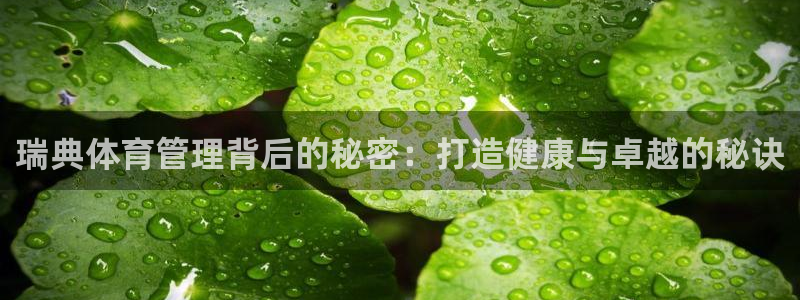 必一体育最新官网入口