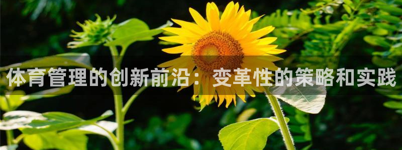 必一体育下载入口