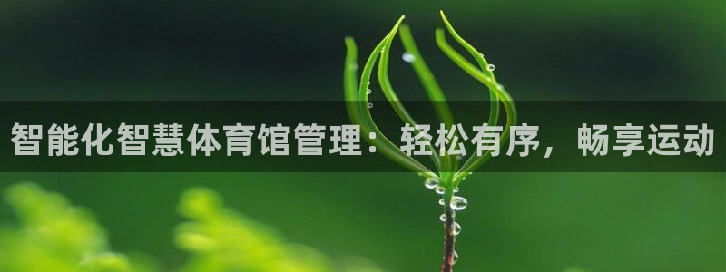 必一体育在线入口