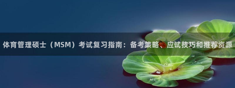 必一体育bsport