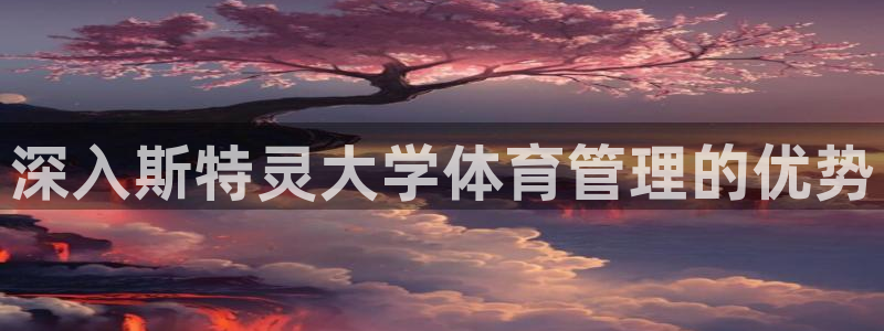必一体育是啥：深入斯