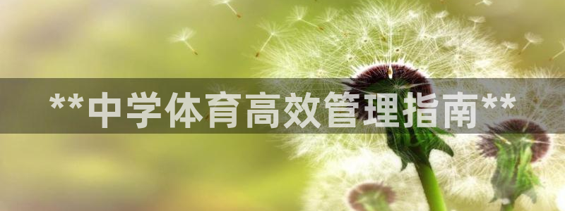 b体育必一下载