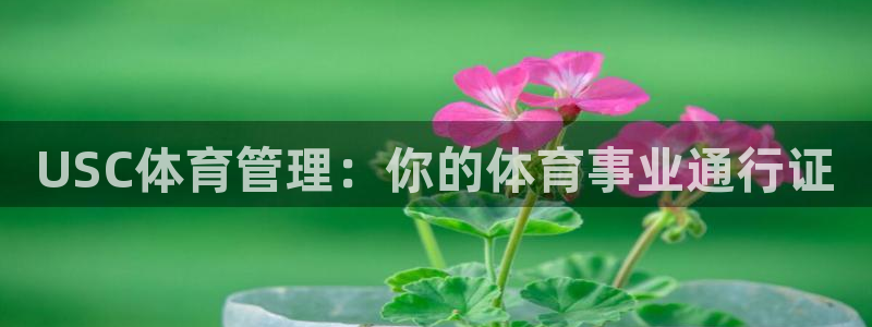 必一体育sport官