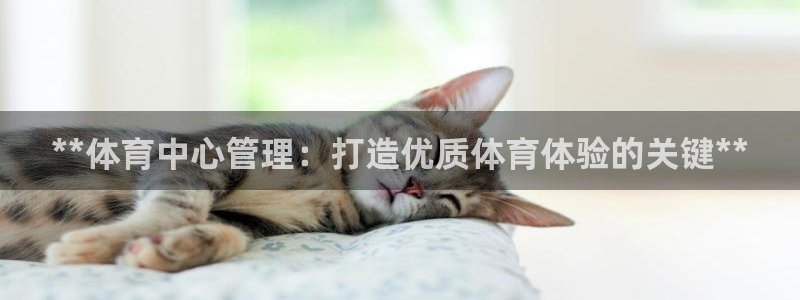 必一体育网址：**体
