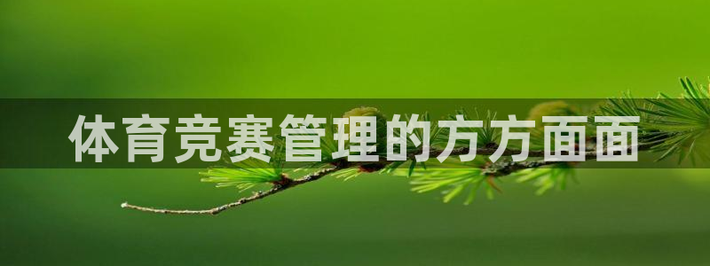 必一体育app下载装