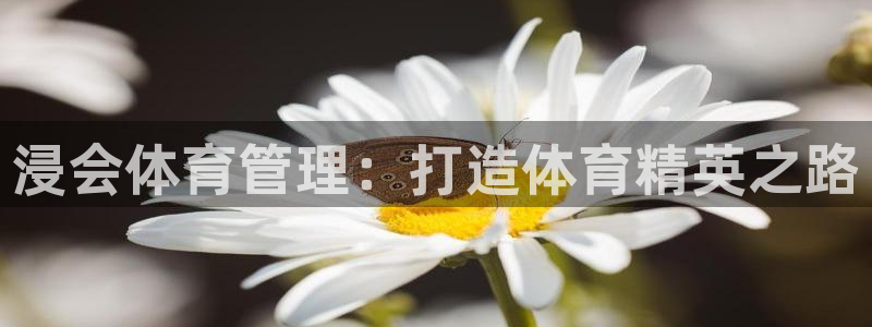 必一体育：浸会体育管