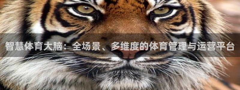 必一体育下载一样吗：