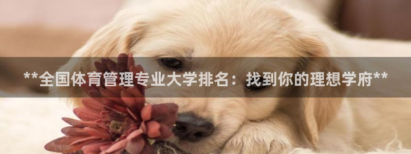 必一体育游戏玩法：*