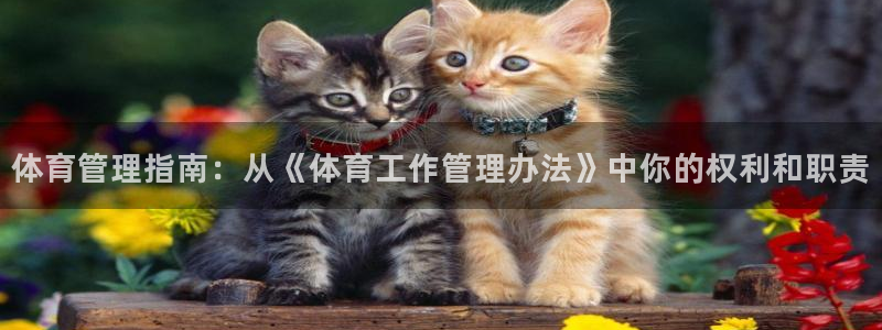 必一体育官方下载入口