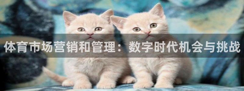 必一体育在线下载：体育市场营销和管理：数字时代机会与挑战