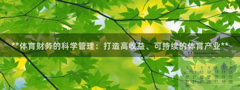 Bsport体育必一