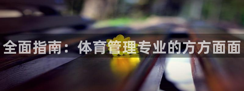 必一体育官方app下