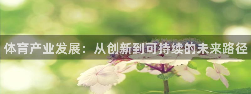 必一体育是哪里的台子