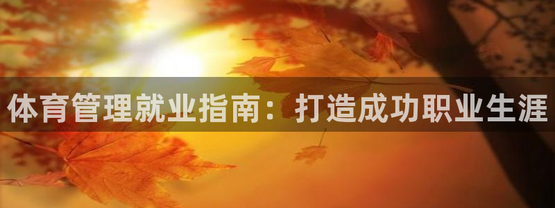 必一体育官方网站入口